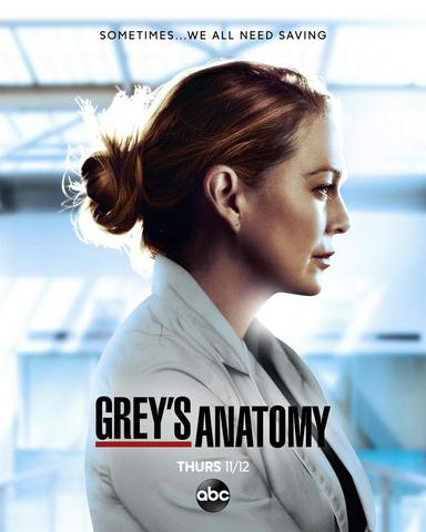 Regarder Grey's Anatomy - Saison 17 en streaming complet