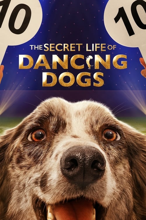 Regarder The Secret Life of Dancing Dogs - Saison 1 en streaming complet